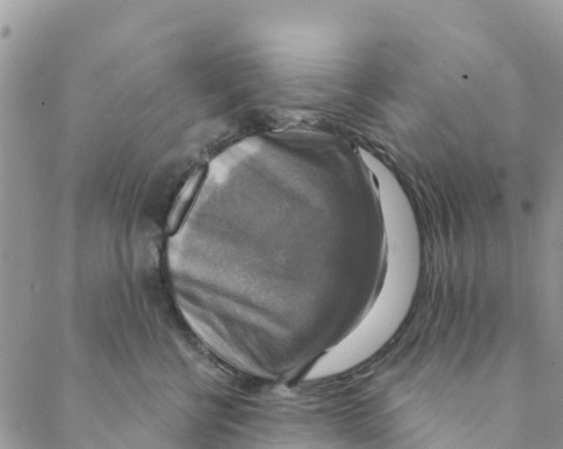 X0000088390570200706121213