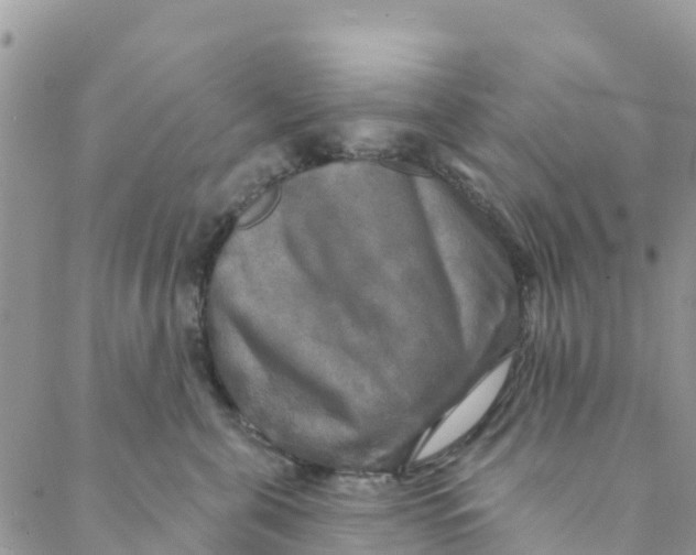 X0000088390571200706121213