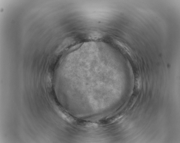 X0000088390572200706121213