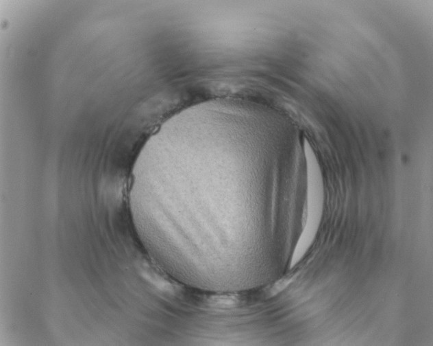 X0000088390574200706121213