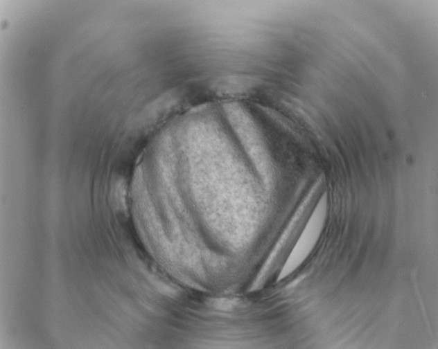 X0000088390575200706121213