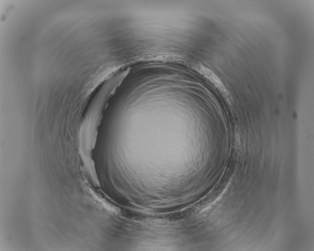 X0000088390577200706121212