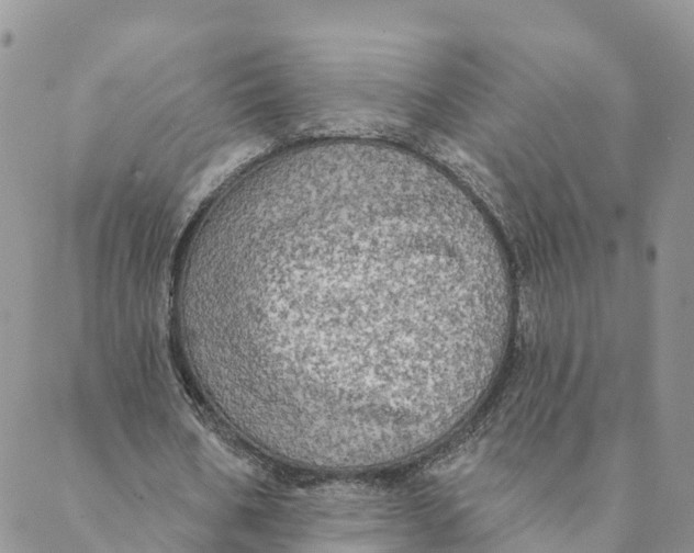 X0000088390578200706121212