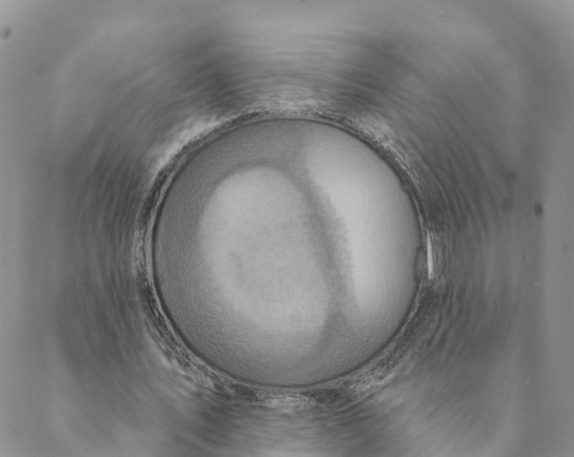 X0000088390579200706121212