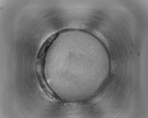 X0000088390580200706121212