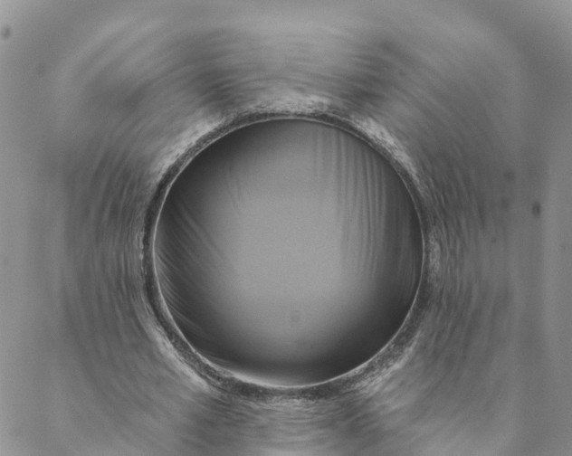 X0000088390581200706121212