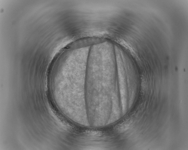 X0000088390582200706121212