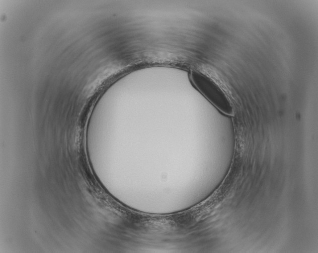 X0000088390583200706121212