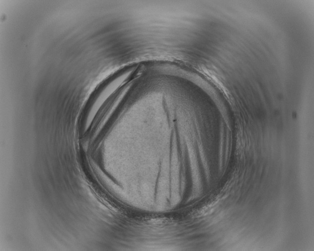 X0000088390584200706121212