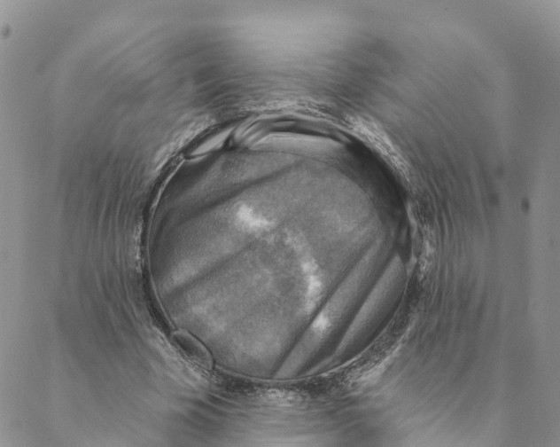 X0000088390585200706121212