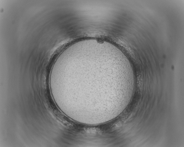 X0000088390587200706121212