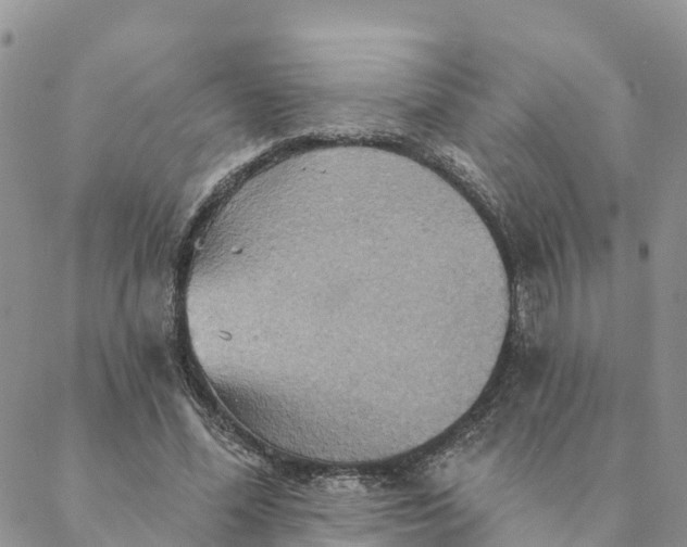 X0000088390588200706121212