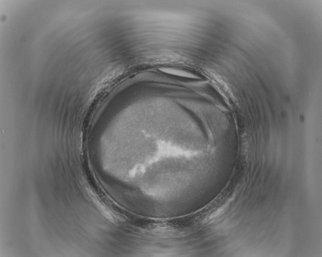 X0000088390589200706121212