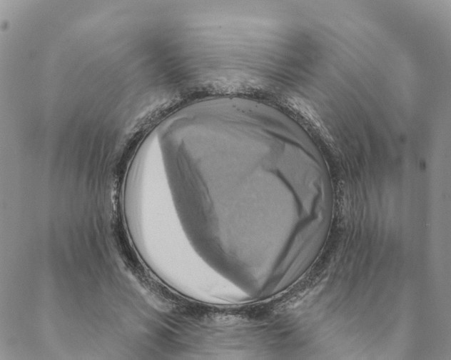 X0000088390590200706121212