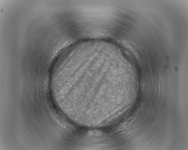 X0000088390591200706121212