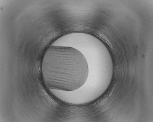 X0000088390593200706121212