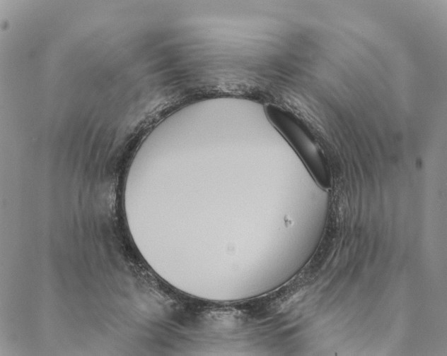 X0000088390595200706121212