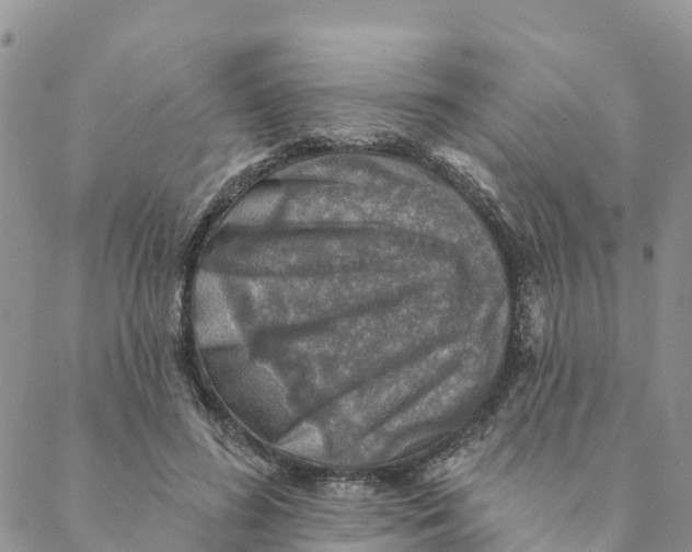 X0000088390596200706121212