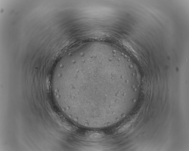 X0000088390597200706121212