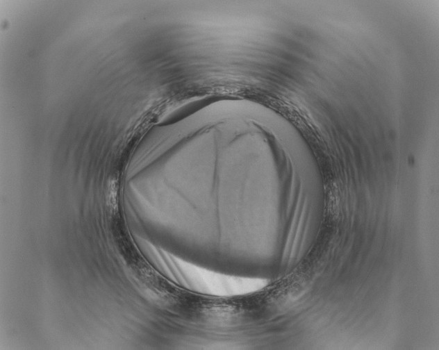 X0000088390598200706121212