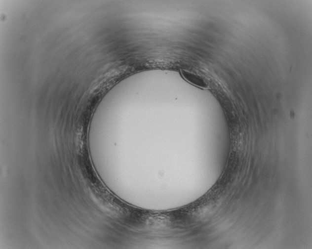 X0000088390599200706121212