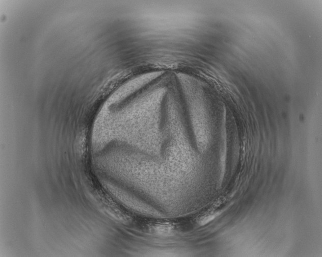 X0000088390600200706121212