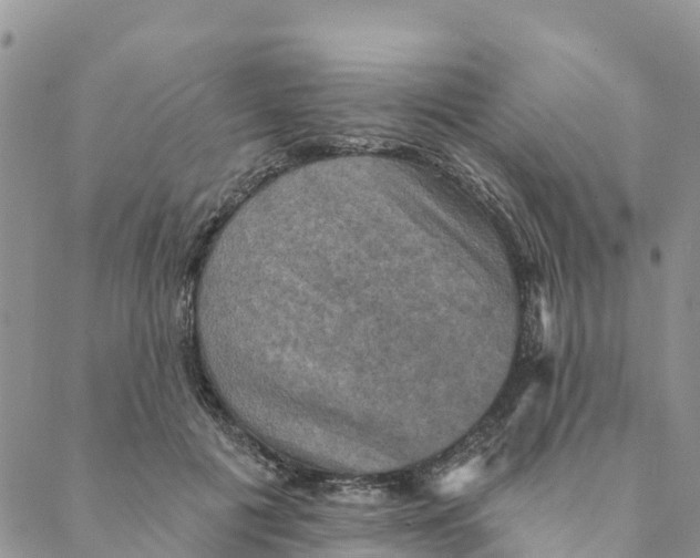 X0000088390601200706121212