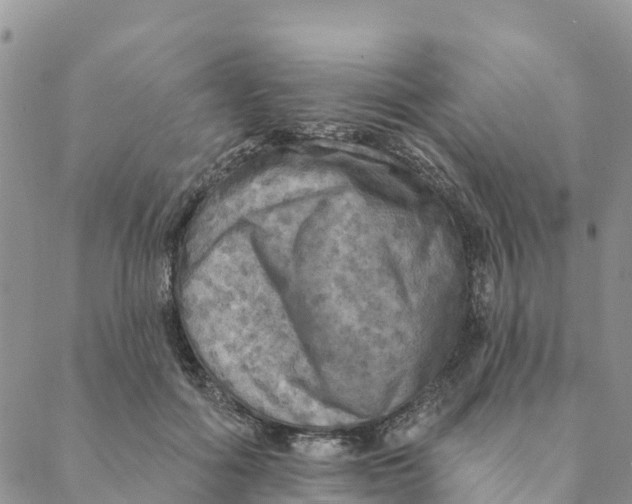 X0000088390602200706121212