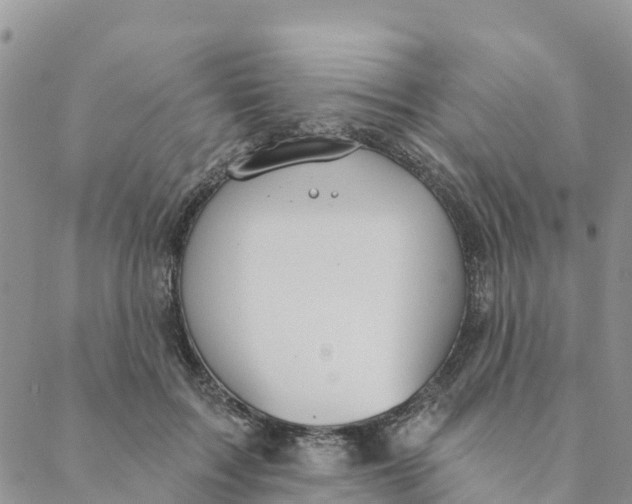 X0000088390603200706121212