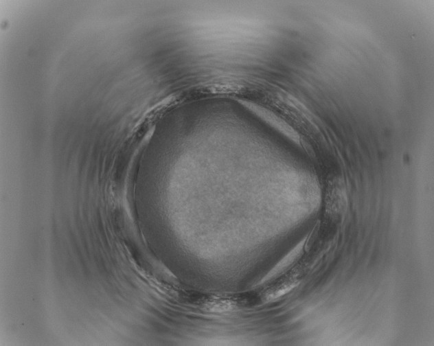 X0000088390604200706121212