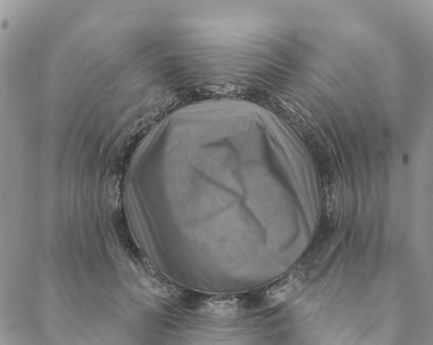 X0000088390606200706121212