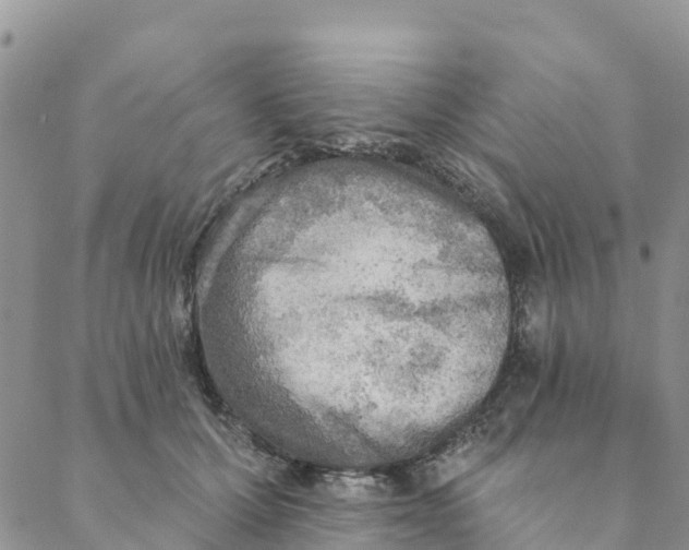 X0000088390607200706121212