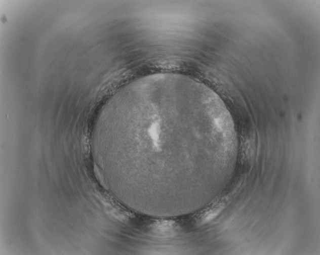 X0000088390609200706121212