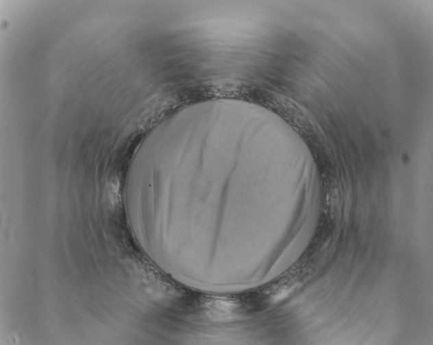 X0000088390610200706121212