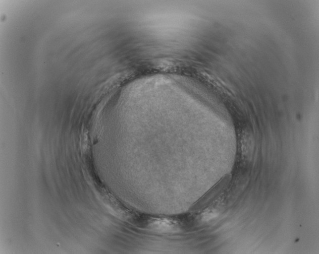 X0000088390611200706121212