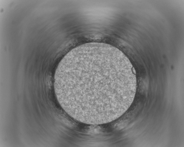 X0000088390612200706121212