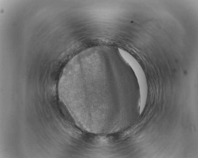 X0000088390613200706121211