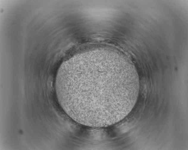 X0000088390615200706121211