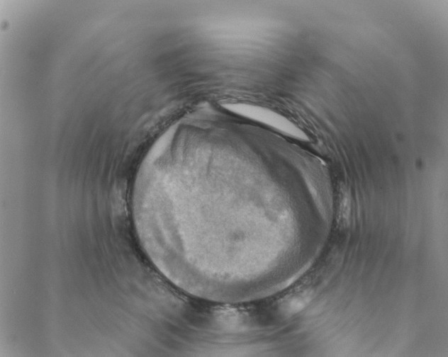 X0000088390616200706121211