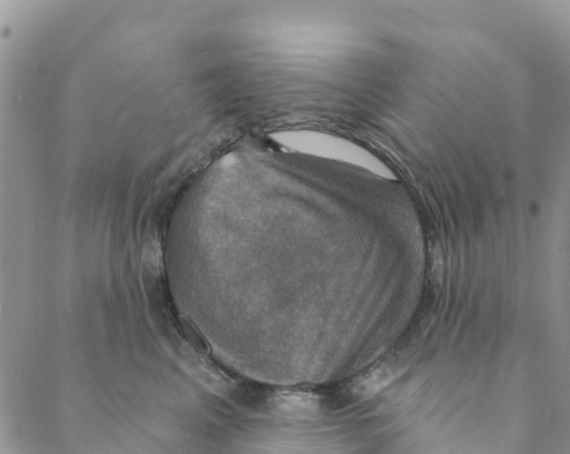 X0000088390617200706121211