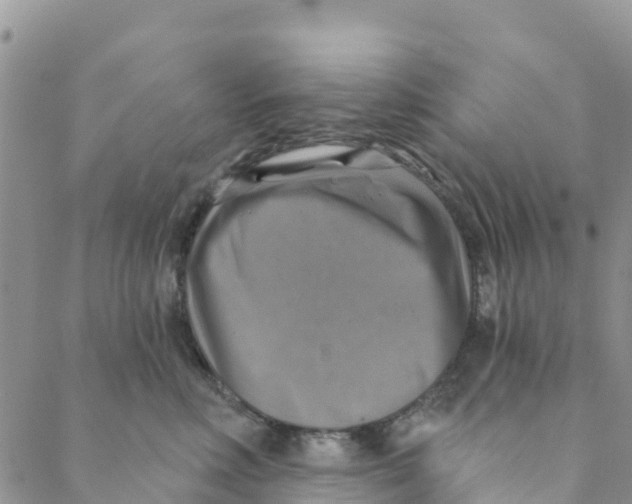 X0000088390618200706121211