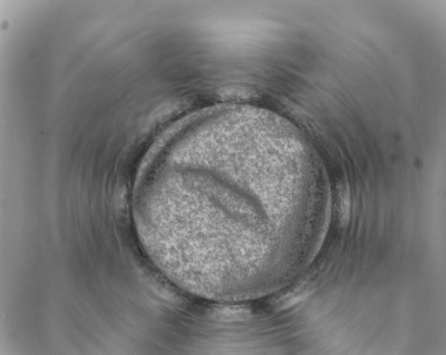 X0000088390619200706121211