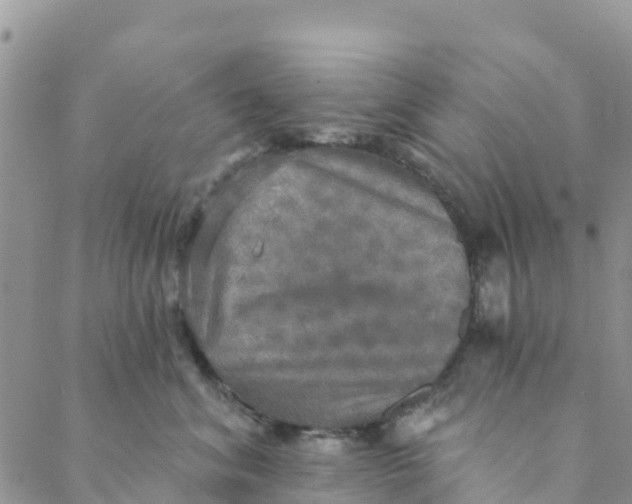 X0000088390620200706121211