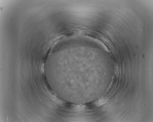 X0000088390621200706121211