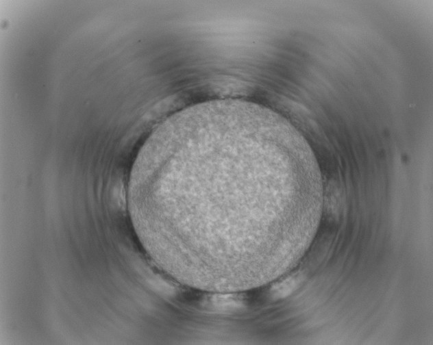 X0000088390622200706121211