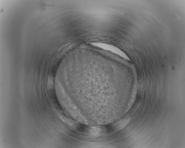 X0000088390623200706121211