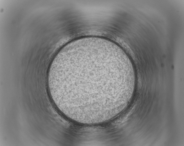 X0000088390625200706121211