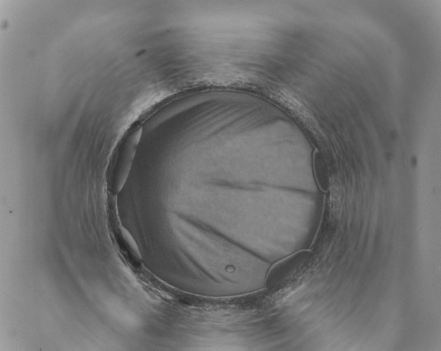 X0000088390626200706121211