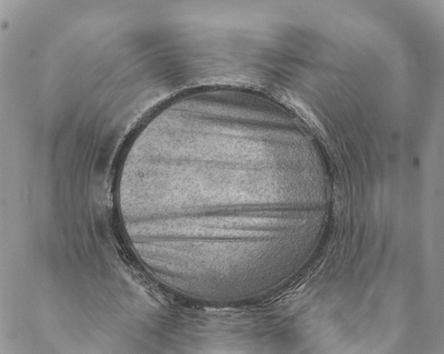 X0000088390628200706121211