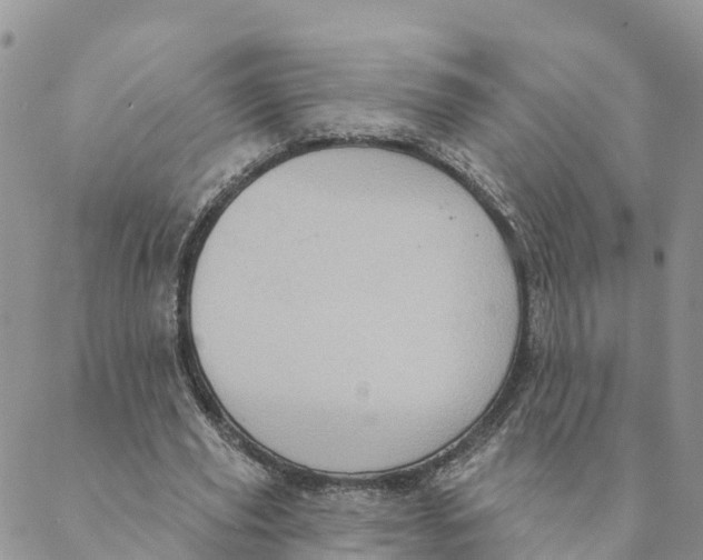 X0000088390629200706121211